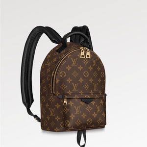 Louie Vuitton Palm Springs Backpack